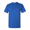 Blue T-shirt